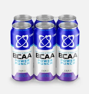 BCAA Power Punch Ginger Kick 500ml