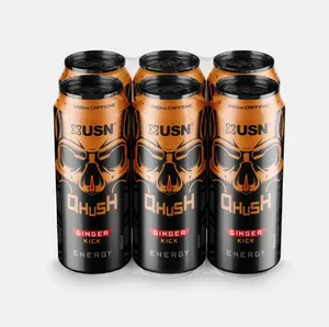 Qhush Energy RTD Ginger Kick 500ml