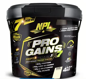 PRO GAINS 4KG VANILLA ICE CREAM
