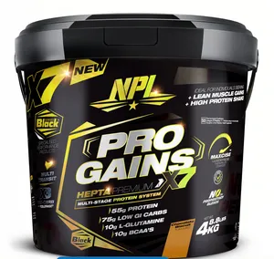 PRO GAINS 4KG CHOC BISCUIT